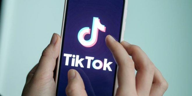 Easy Steps to Download TikTok Videos Using a Website